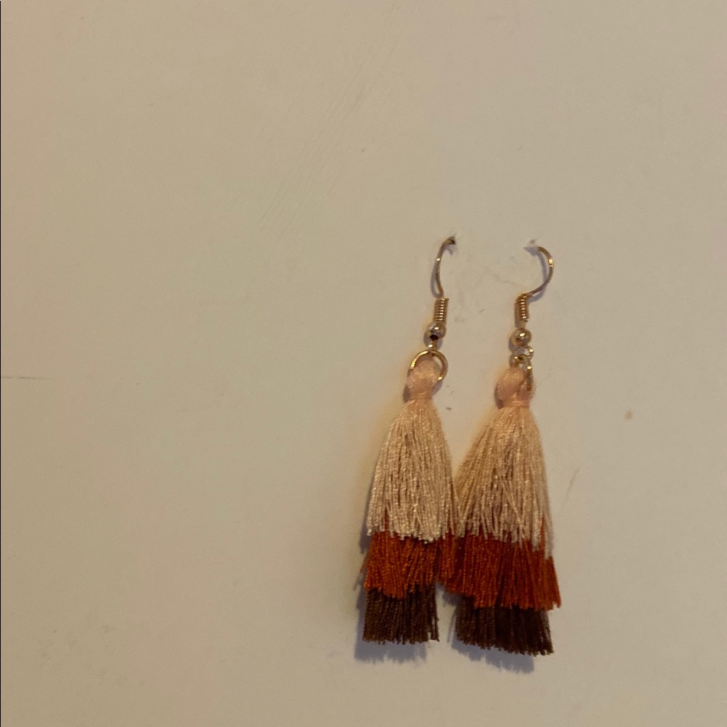 Tassel Try Color Earrings